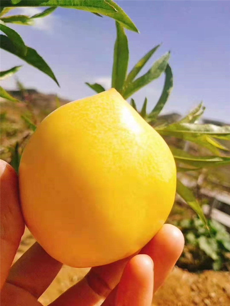 bb751db2d9baff0082f7a305b684611.jpg bb751db2d9baff0082f7a305b684611.jpg